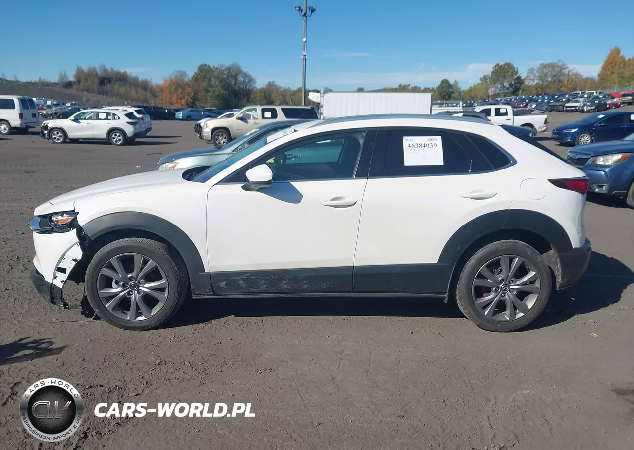 2021 Mazda Cx-30 Premium VIN:3MVDMBDL7MM210618 - 14