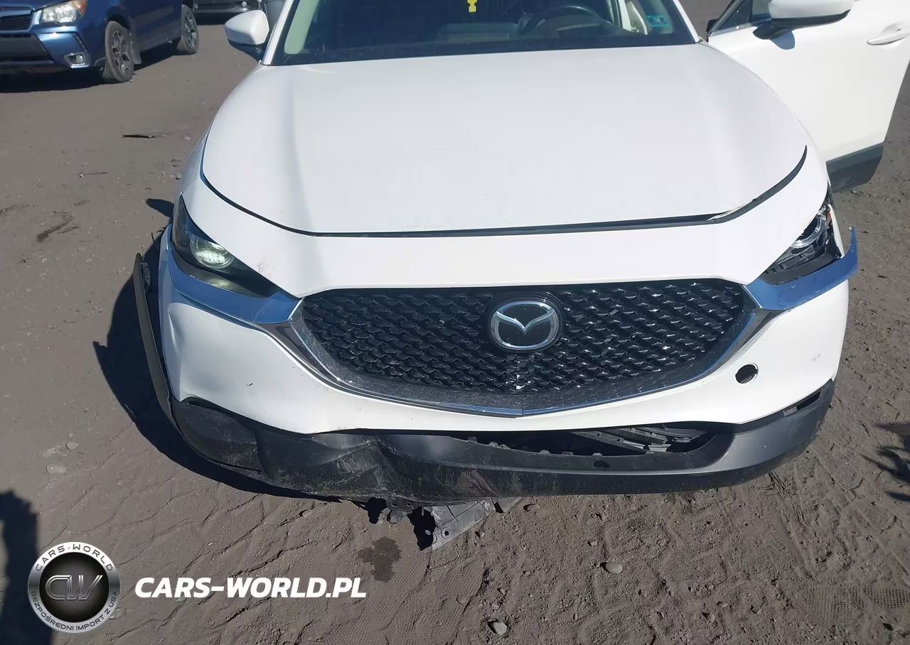 2021 Mazda Cx-30 Premium VIN:3MVDMBDL7MM210618 - 17