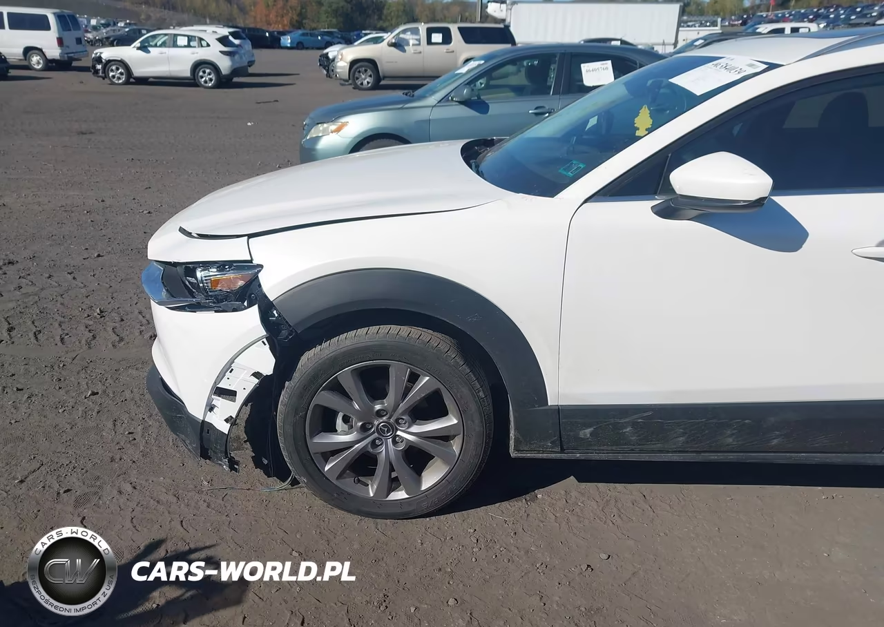 2021 Mazda Cx-30 Premium VIN:3MVDMBDL7MM210618 - 19