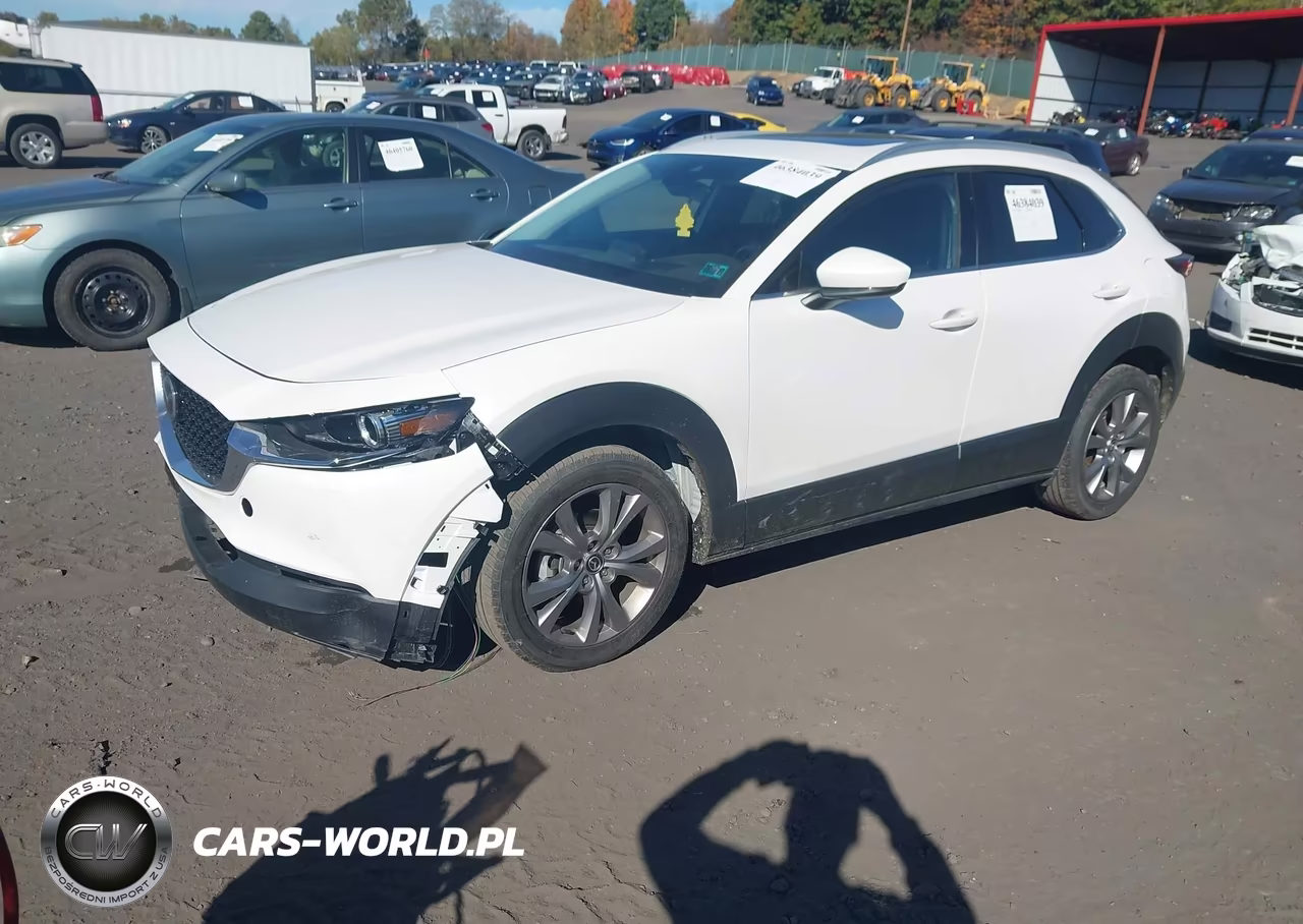 2021 Mazda Cx-30 Premium VIN:3MVDMBDL7MM210618 - 2