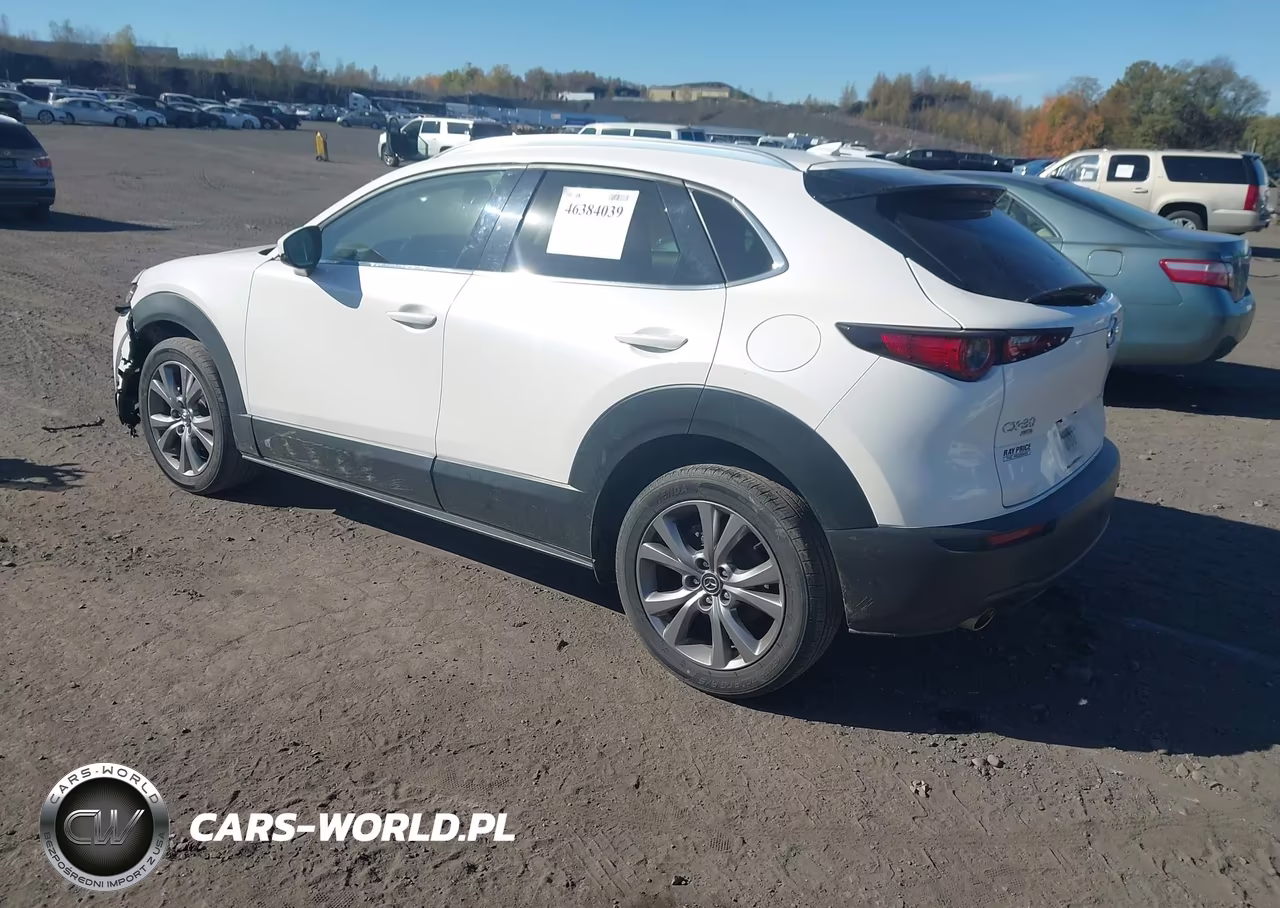 2021 Mazda Cx-30 Premium VIN:3MVDMBDL7MM210618 - 3