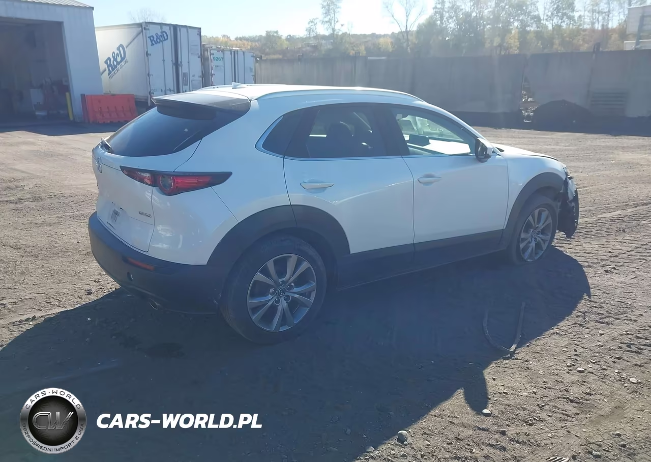 2021 Mazda Cx-30 Premium VIN:3MVDMBDL7MM210618 - 4