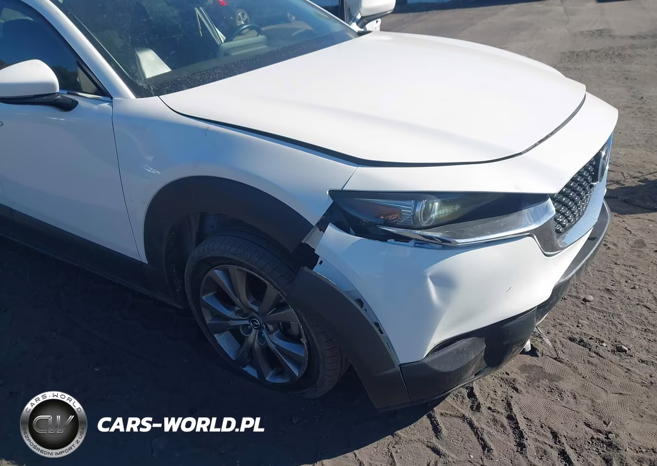 2021 Mazda Cx-30 Premium VIN:3MVDMBDL7MM210618 - 6