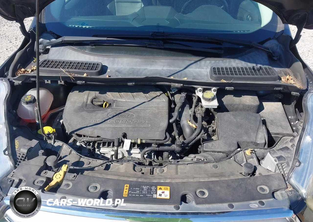 2017 Ford Escape Titanium VIN:1FMCU0JD1HUE29683 - 10