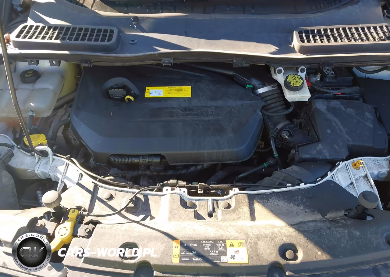 2016 Ford Escape Se VIN:1FMCU9GX2GUB64521 - 10