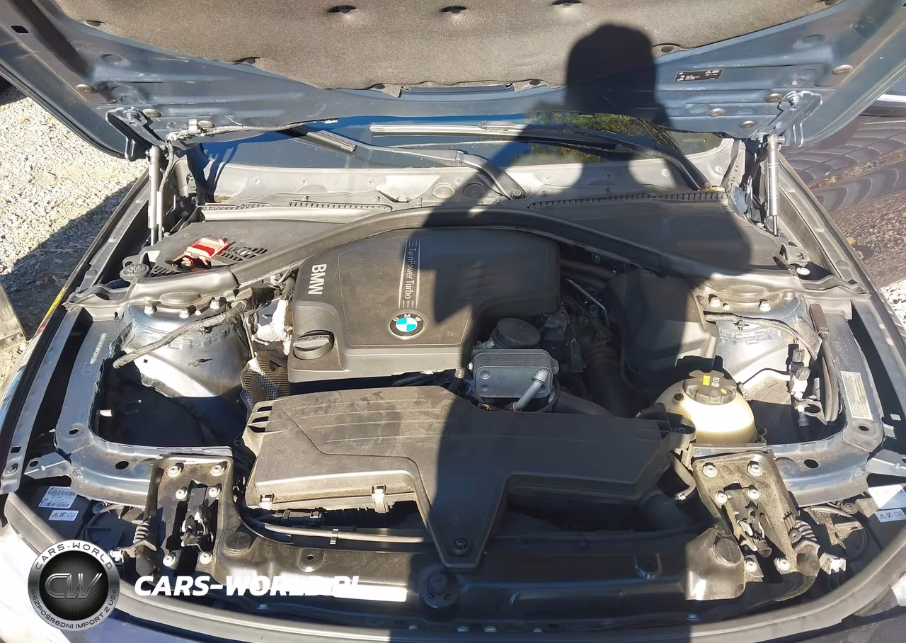 2015 BMW 428I VIN:WBA3N7C50FK224538 - 10