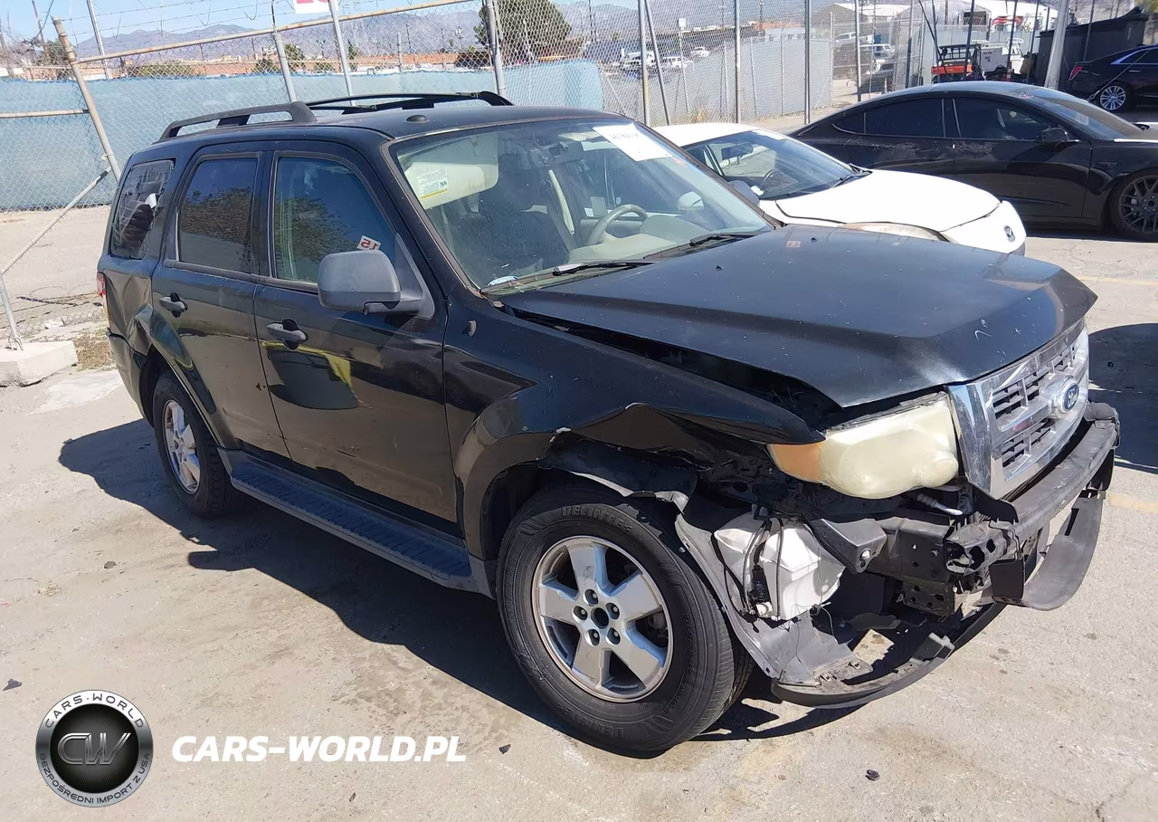 2010 Ford Escape Xlt