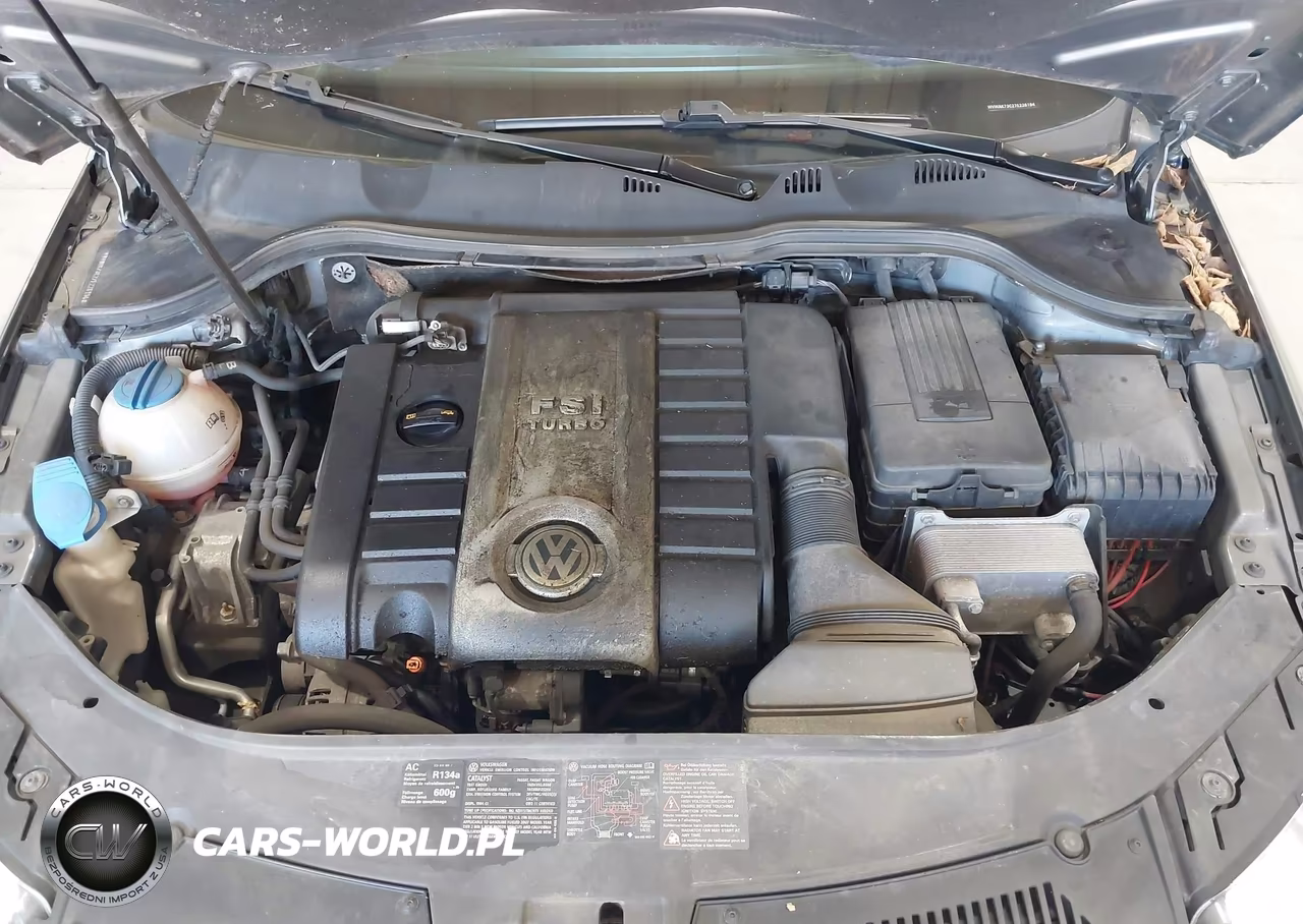 2007 Volkswagen Passat 2.0T-Wolfsburg Edition VIN:WVWAK73C27E226194 - 10
