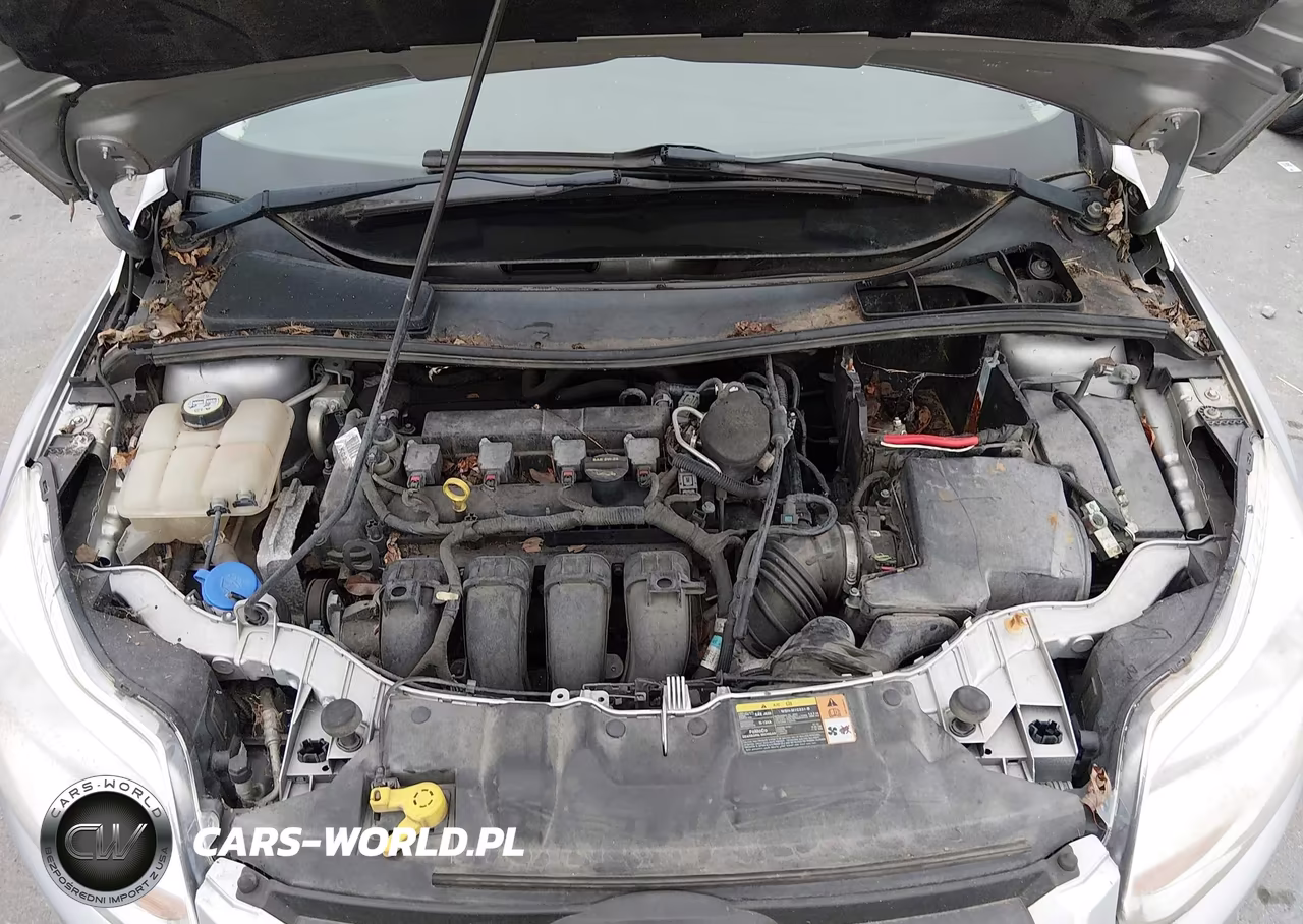 FORD FOCUS SE VIN:1FADP3K27DL259513 - 10