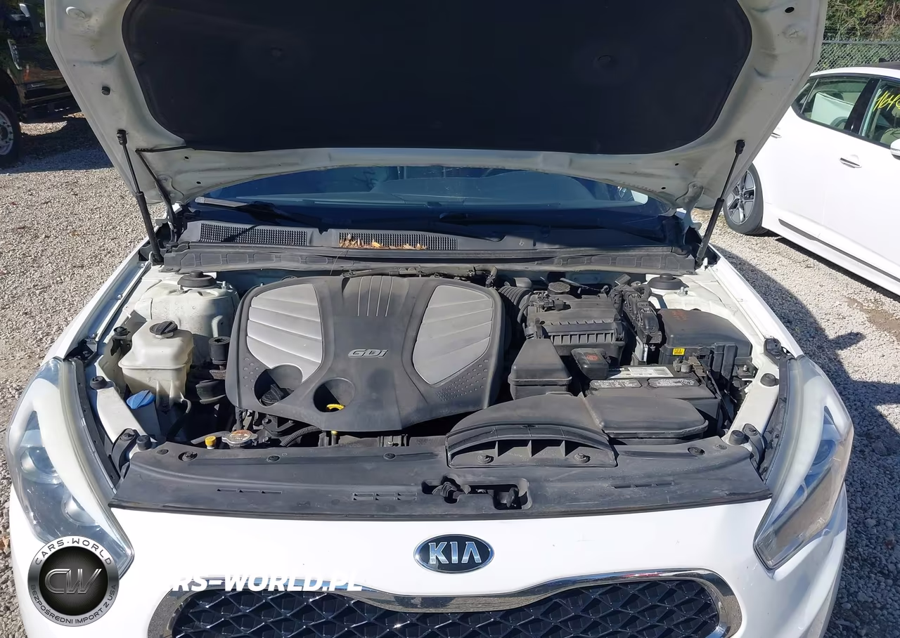 2014 Kia Cadenza Premium VIN:KNALN4D75E5166762 - 10