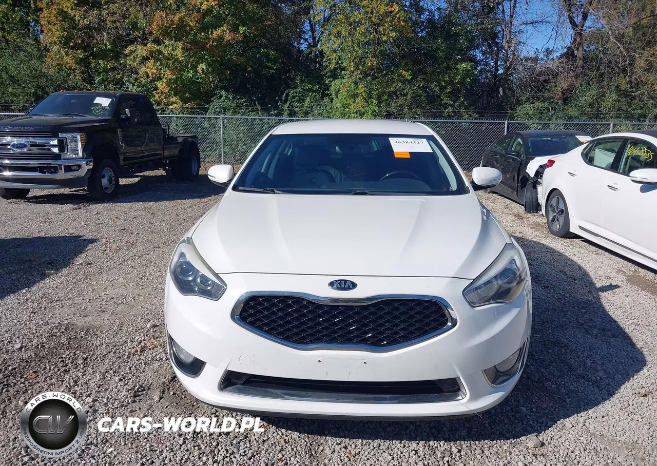 2014 Kia Cadenza Premium VIN:KNALN4D75E5166762 - 12