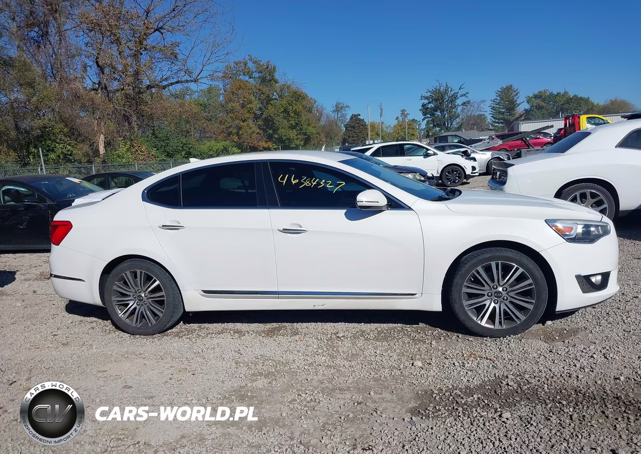2014 Kia Cadenza Premium VIN:KNALN4D75E5166762 - 13