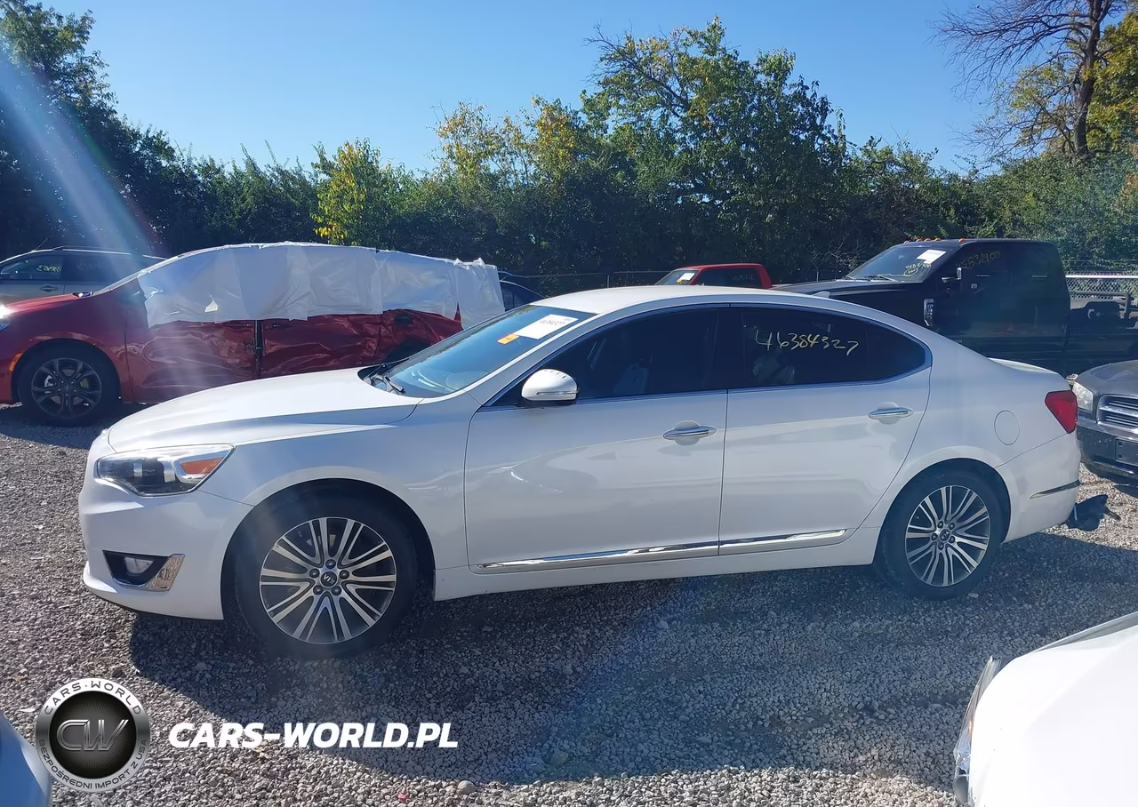 2014 Kia Cadenza Premium VIN:KNALN4D75E5166762 - 14