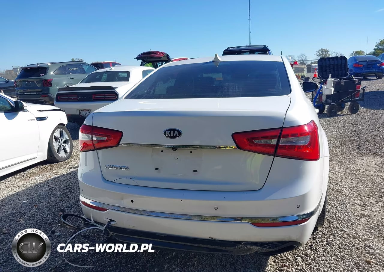 2014 Kia Cadenza Premium VIN:KNALN4D75E5166762 - 16
