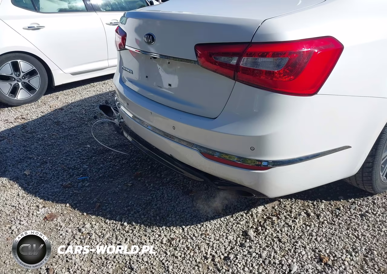 2014 Kia Cadenza Premium VIN:KNALN4D75E5166762 - 17