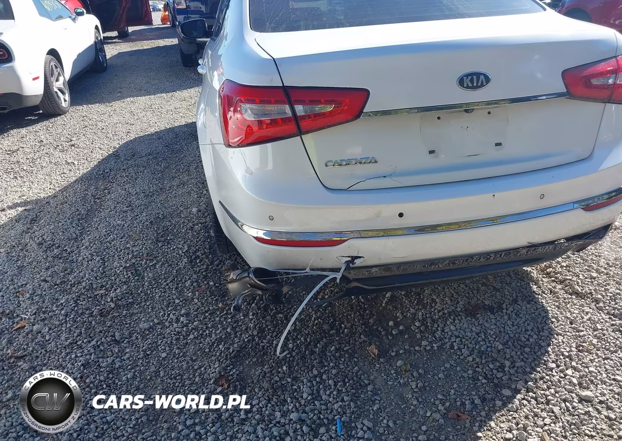 2014 Kia Cadenza Premium VIN:KNALN4D75E5166762 - 6
