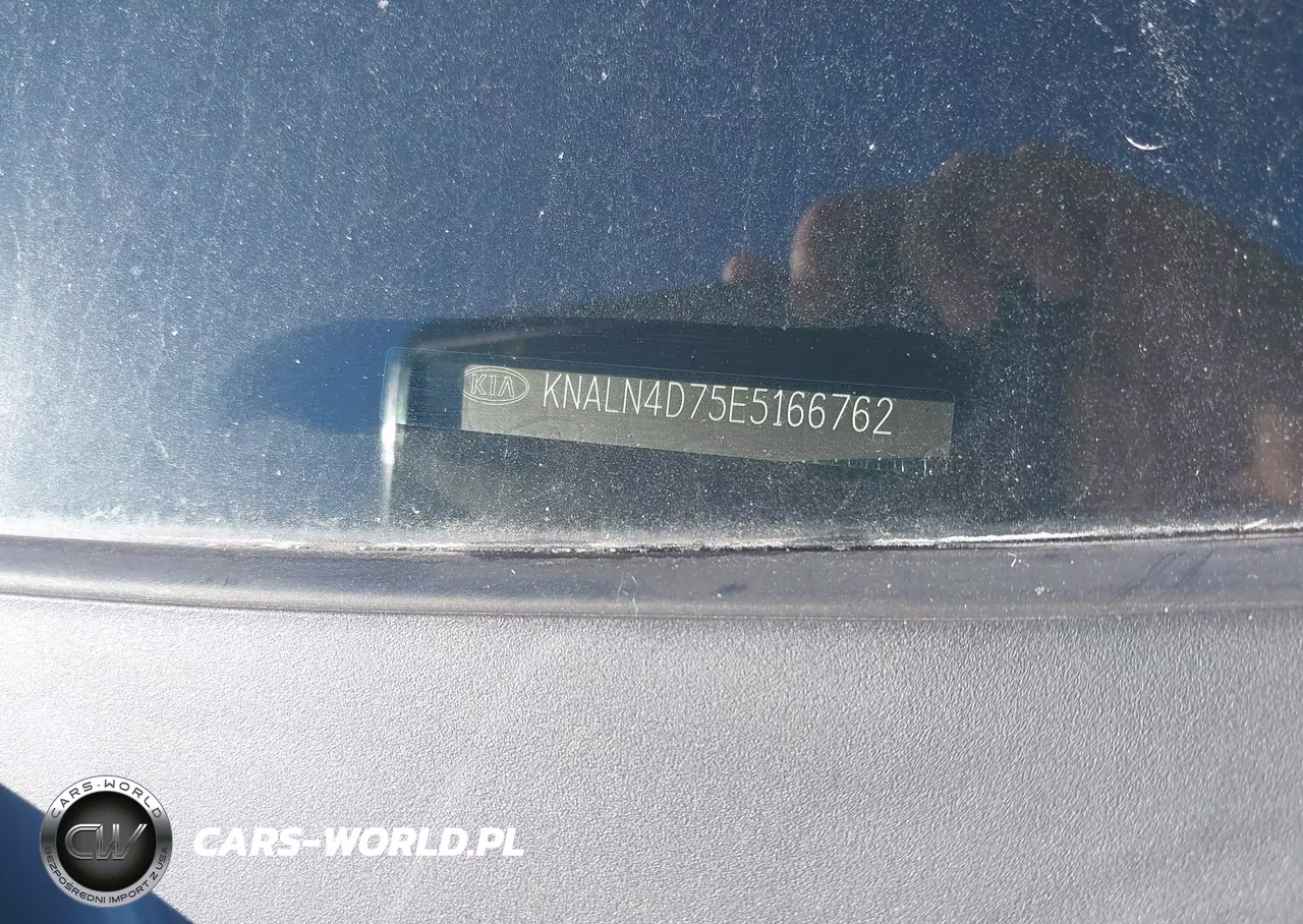 2014 Kia Cadenza Premium VIN:KNALN4D75E5166762 - 9