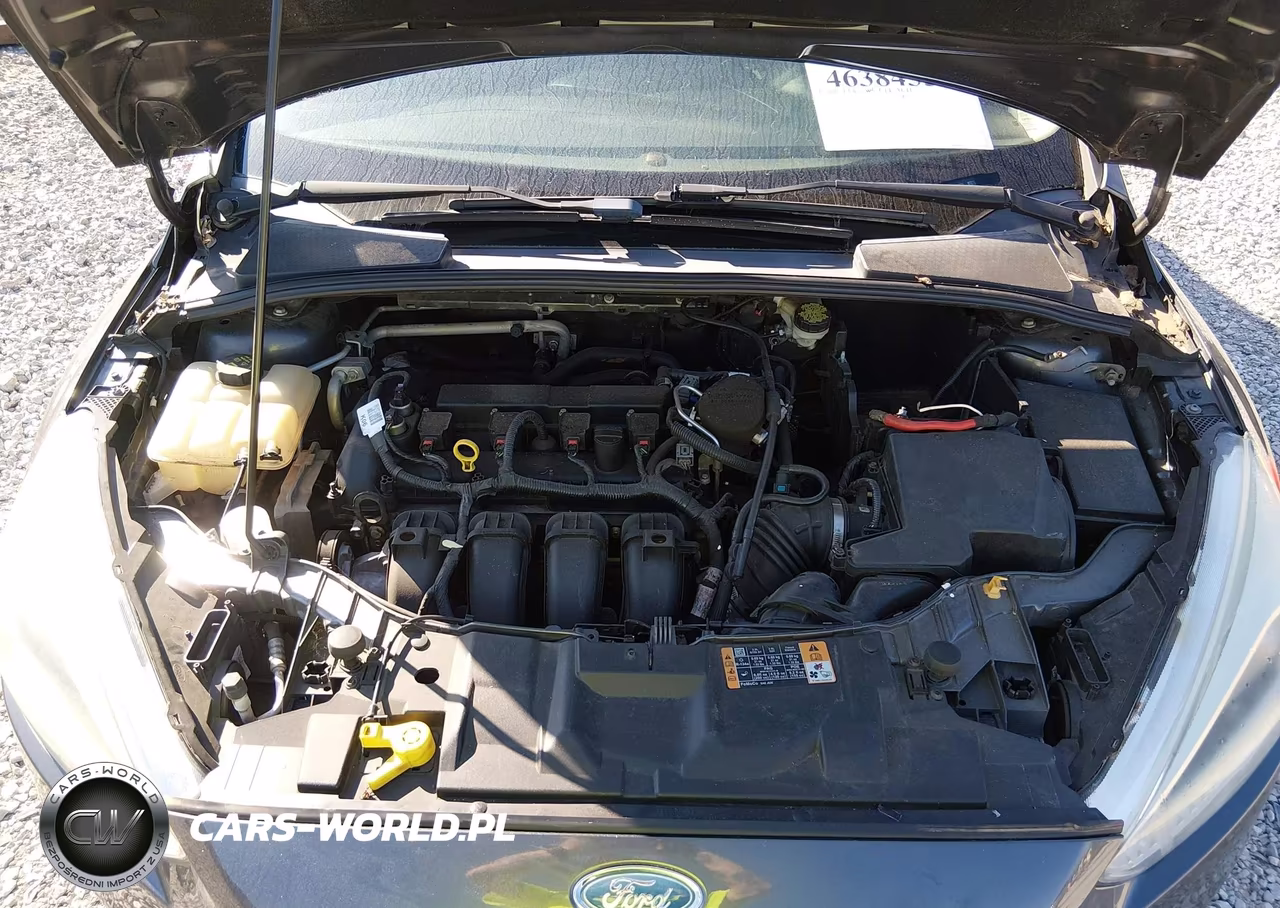 2015 Ford Focus Se VIN:1FADP3F29FL205076 - 10