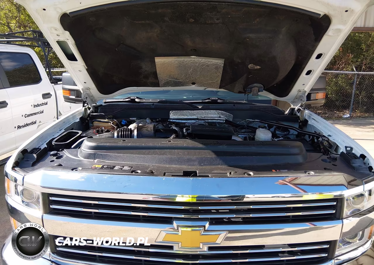 2017 Chevrolet Silverado 2500Hd Wt VIN:1GC1KUEY6HF204900 - 10