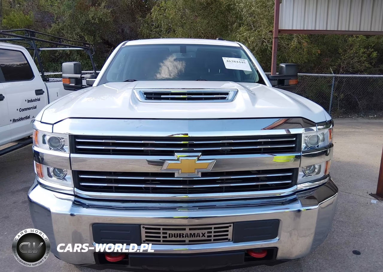 2017 Chevrolet Silverado 2500Hd Wt VIN:1GC1KUEY6HF204900 - 12