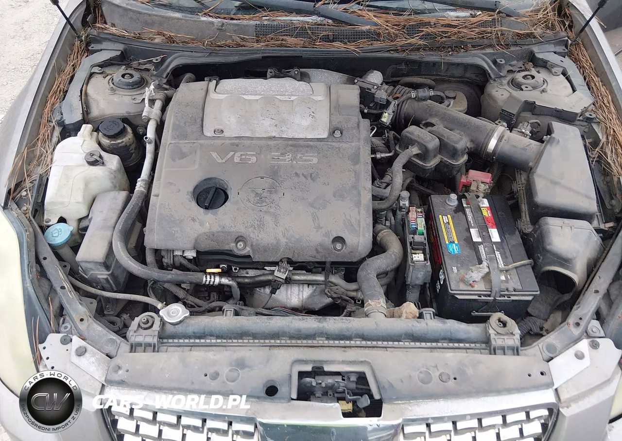 2005 Nissan Maxima 3.5 Sl VIN:1N4BA41E55C862116 - 10