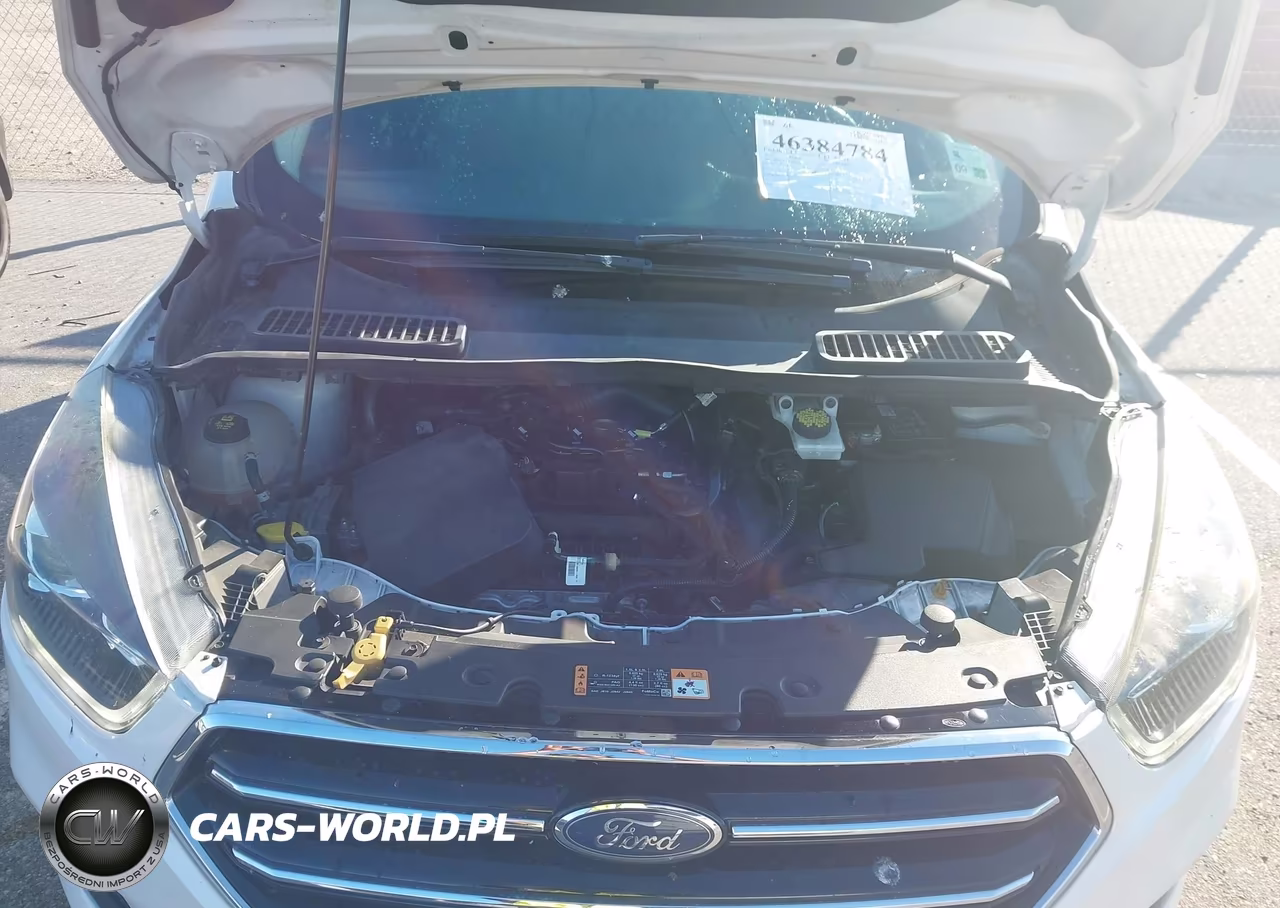 2019 Ford Escape Se VIN:1FMCU0GD7KUA58950 - 10