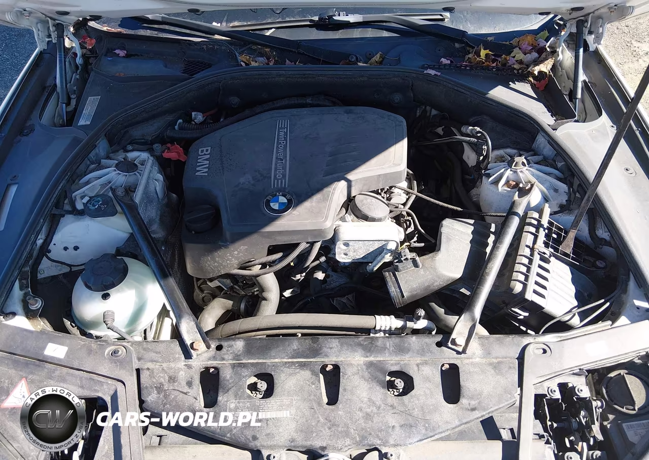 2013 BMW 528I VIN:WBAXG5C50DDY33162 - 10