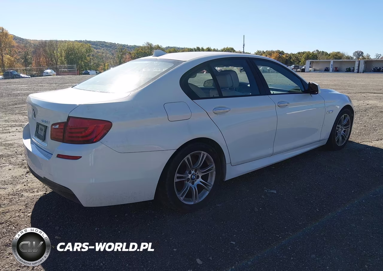 2013 BMW 528I VIN:WBAXG5C50DDY33162 - 4
