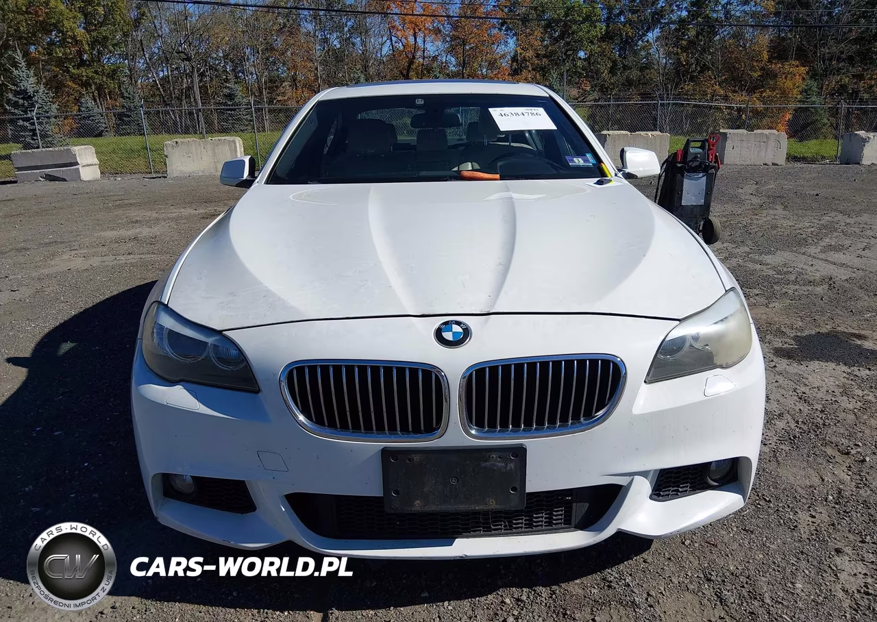 2013 BMW 528I VIN:WBAXG5C50DDY33162 - 6