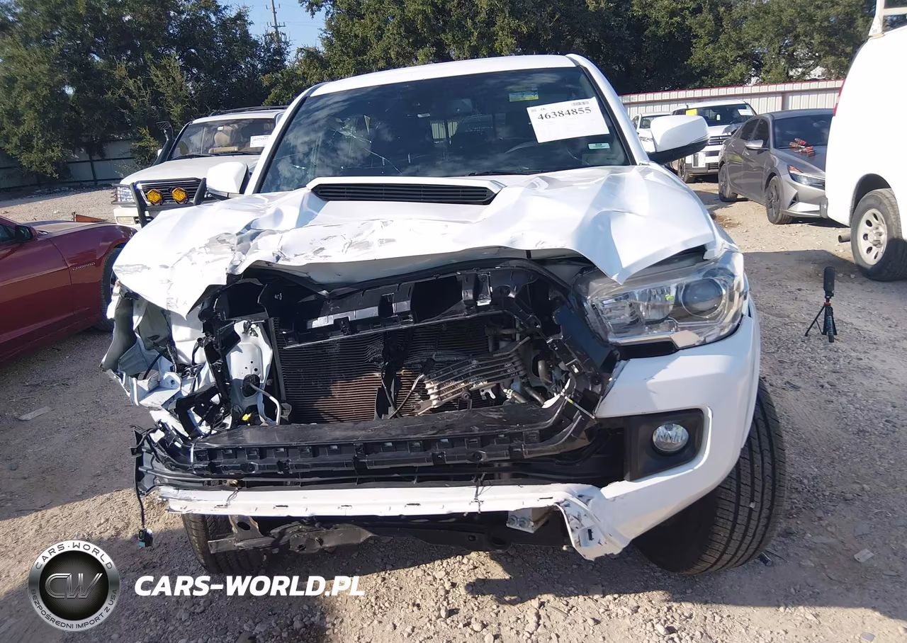 2019 Toyota Tacoma Trd Sport VIN:5TFAZ5CN3KX083965 - 12