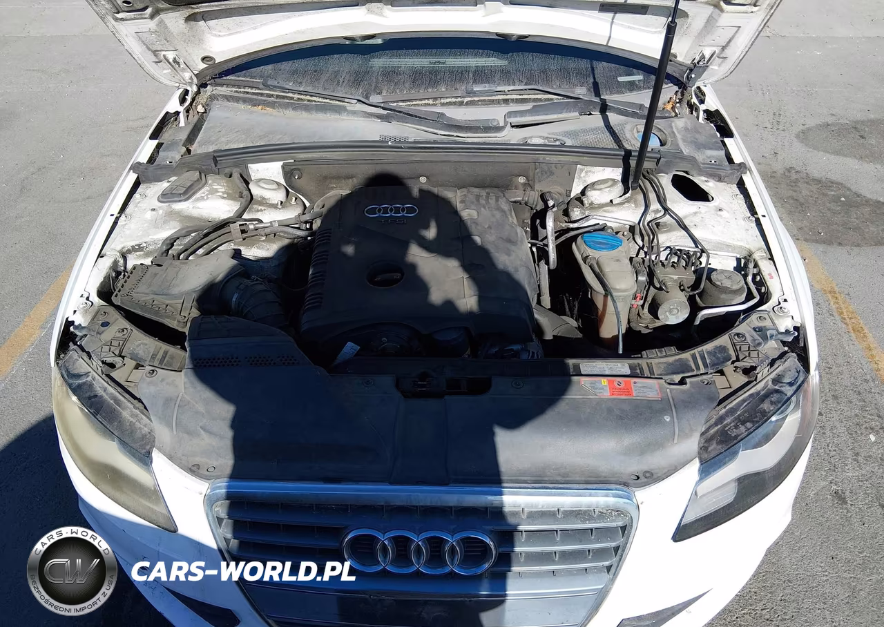 2010 Audi A4 2.0T Premium VIN:WAUEFAFL9AN035648 - 10