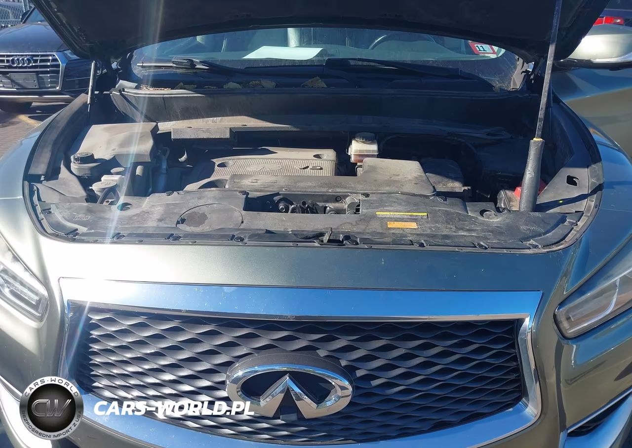 2016 Infiniti Qx60 VIN:5N1AL0MMXGC503130 - 10