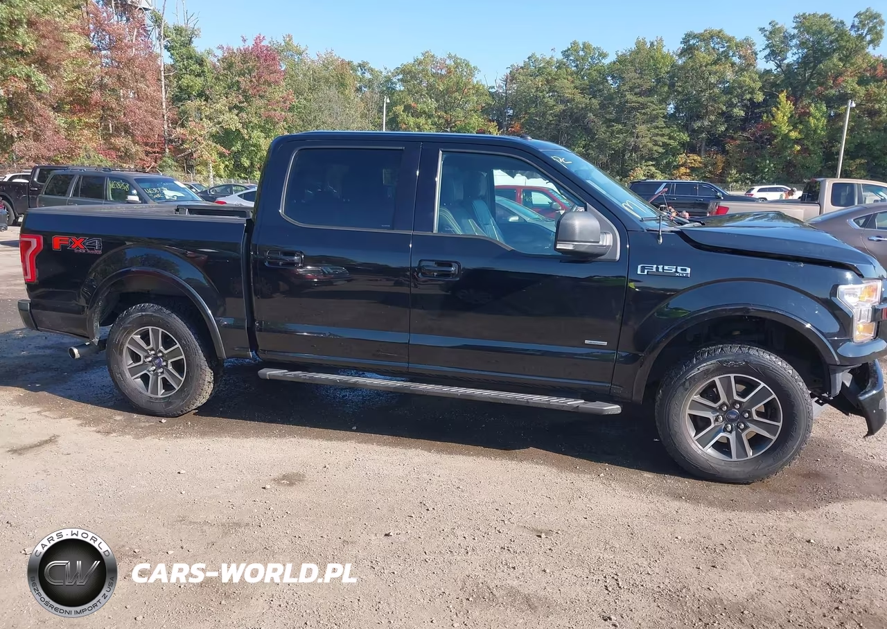 2016 Ford F-150 Xlt VIN:1FTEW1EP8GKE67343 - 13