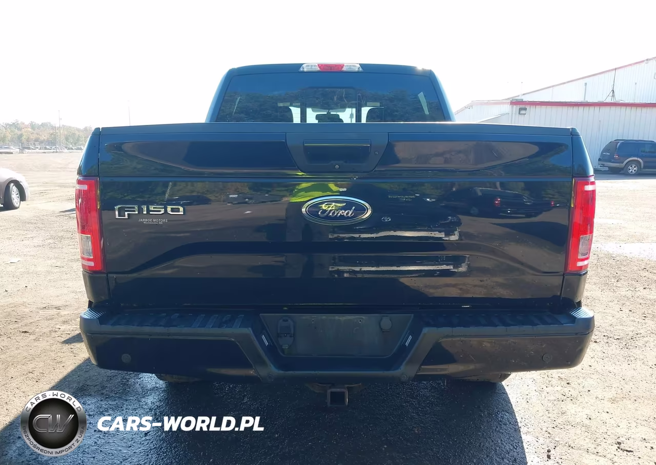 2016 Ford F-150 Xlt VIN:1FTEW1EP8GKE67343 - 16