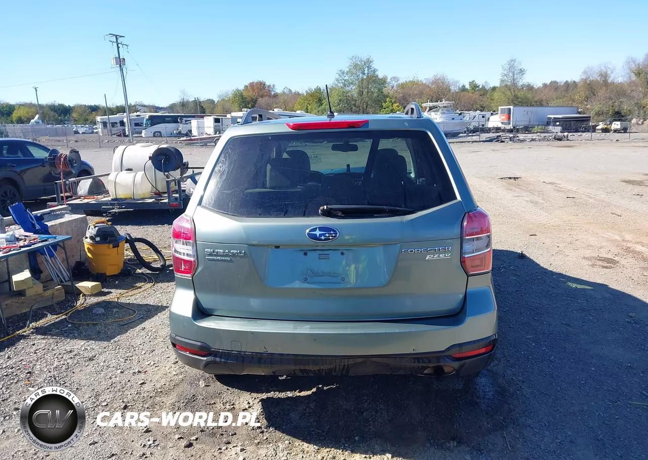 2015 Subaru Forester 2.5I Premium VIN:JF2SJADC2FH463401 - 17