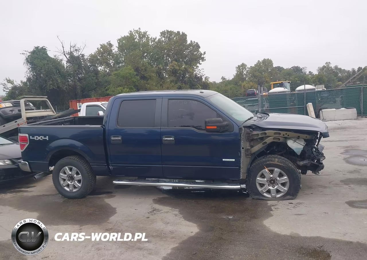 2013 Ford F-150 Xlt VIN:1FTFW1ETXDFD64494 - 14