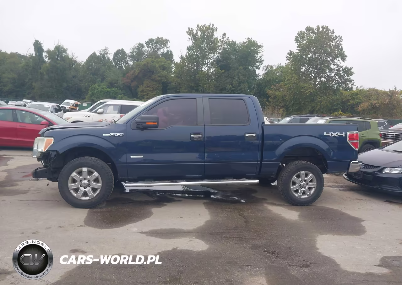 2013 Ford F-150 Xlt VIN:1FTFW1ETXDFD64494 - 15