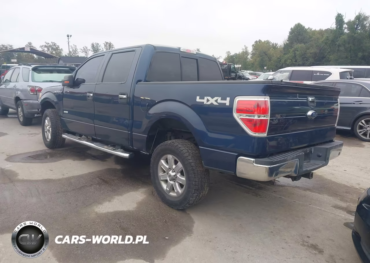 2013 Ford F-150 Xlt VIN:1FTFW1ETXDFD64494 - 3
