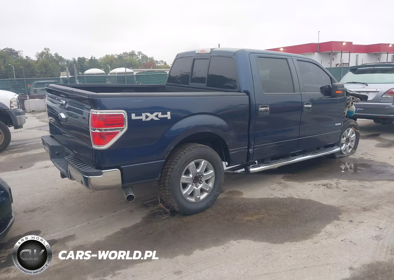 2013 Ford F-150 Xlt VIN:1FTFW1ETXDFD64494 - 4