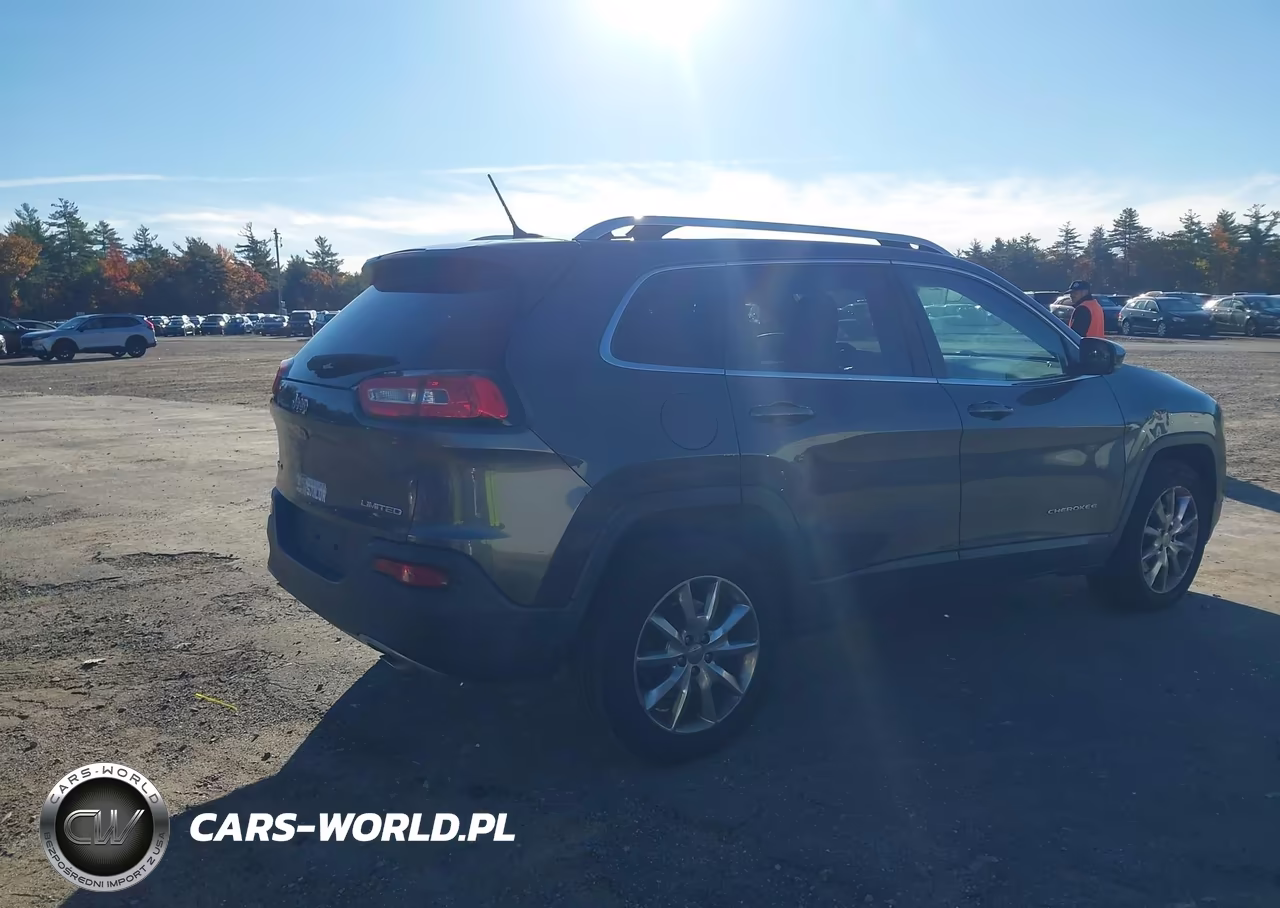 2014 Jeep Cherokee Limited VIN:1C4PJMDS7EW150996 - 4