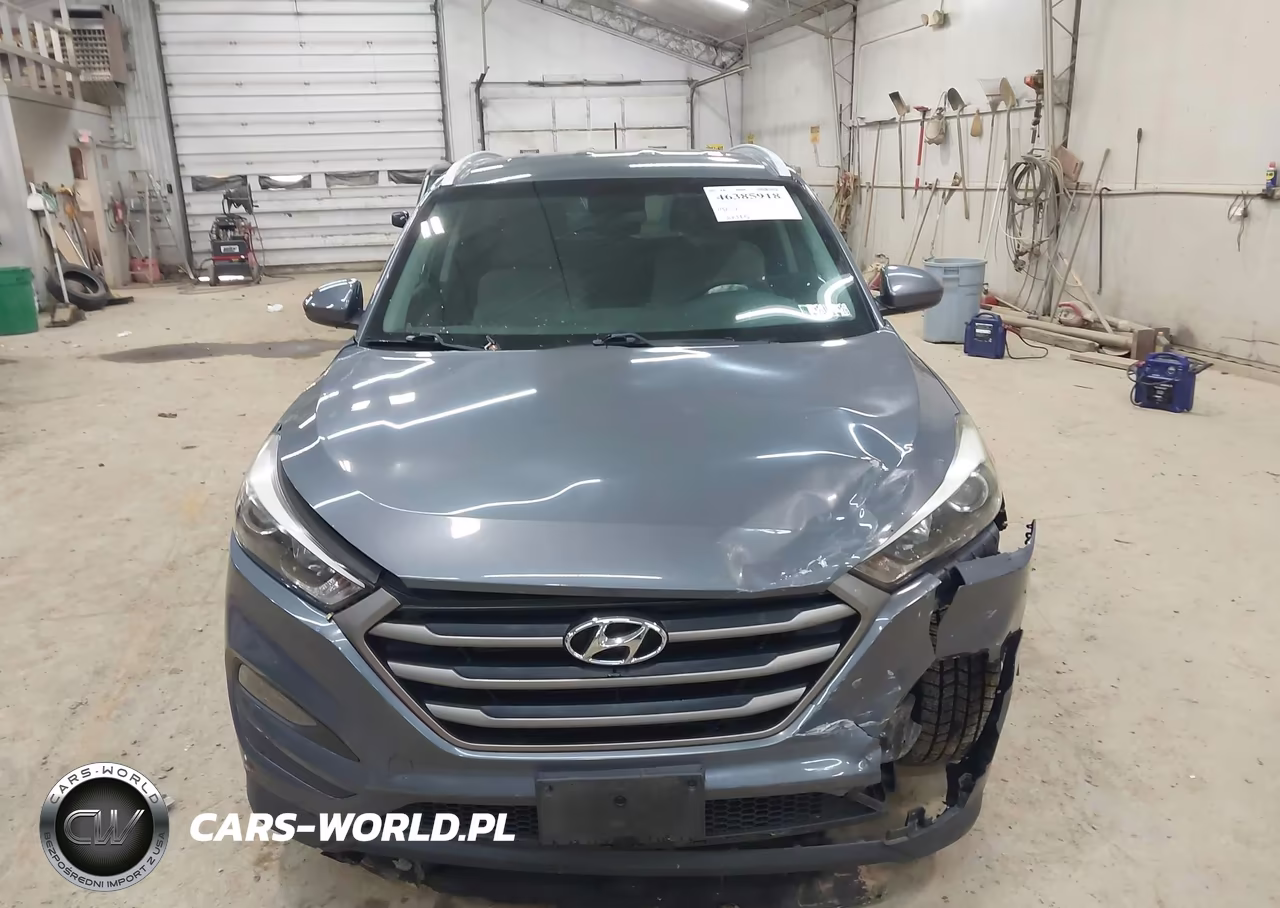2016 Hyundai Tucson Se VIN:KM8J3CA45GU213491 - 12