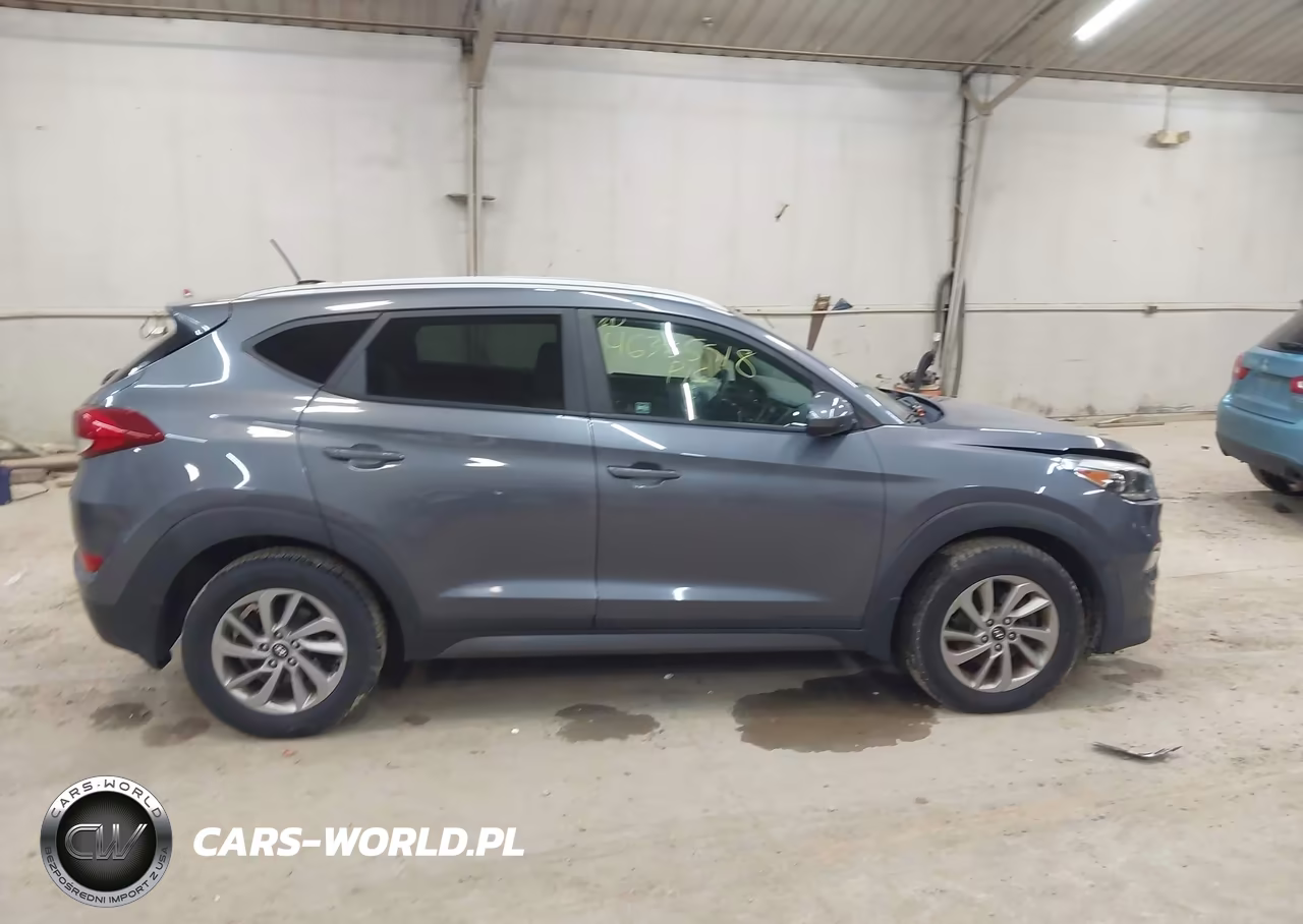 2016 Hyundai Tucson Se VIN:KM8J3CA45GU213491 - 13