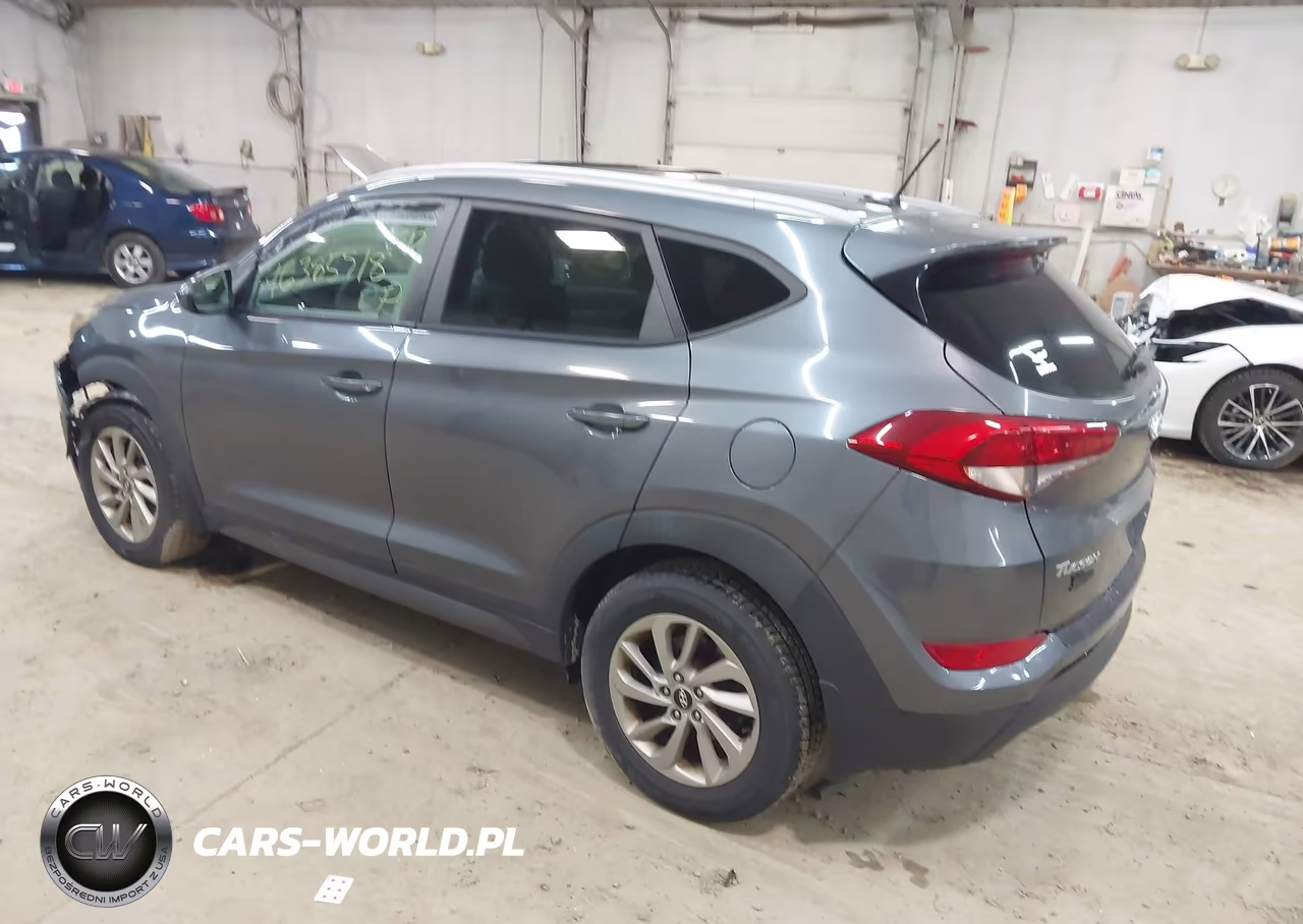 2016 Hyundai Tucson Se VIN:KM8J3CA45GU213491 - 3