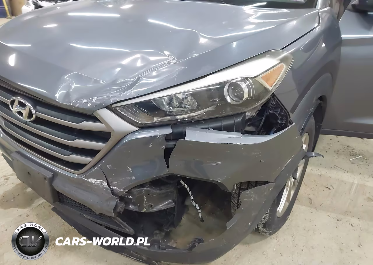 2016 Hyundai Tucson Se VIN:KM8J3CA45GU213491 - 6