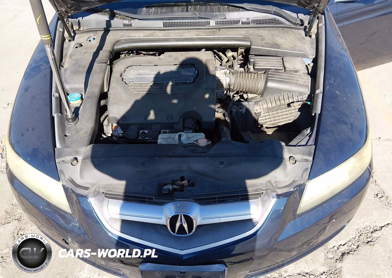 2004 Acura Tl VIN:19UUA66254A034401 - 10