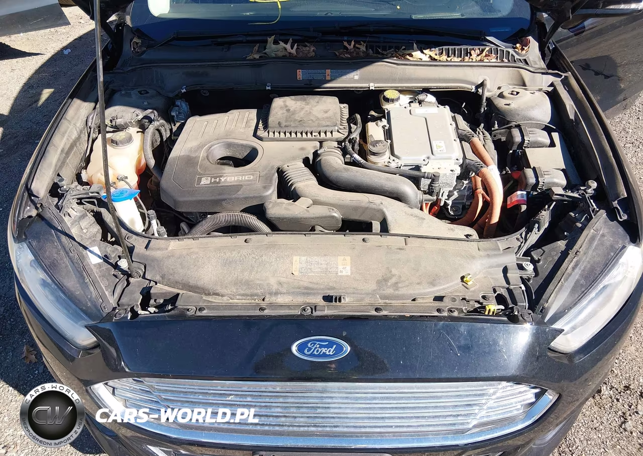 2016 Ford Fusion Hybrid Titanium VIN:3FA6P0RU4GR244357 - 10