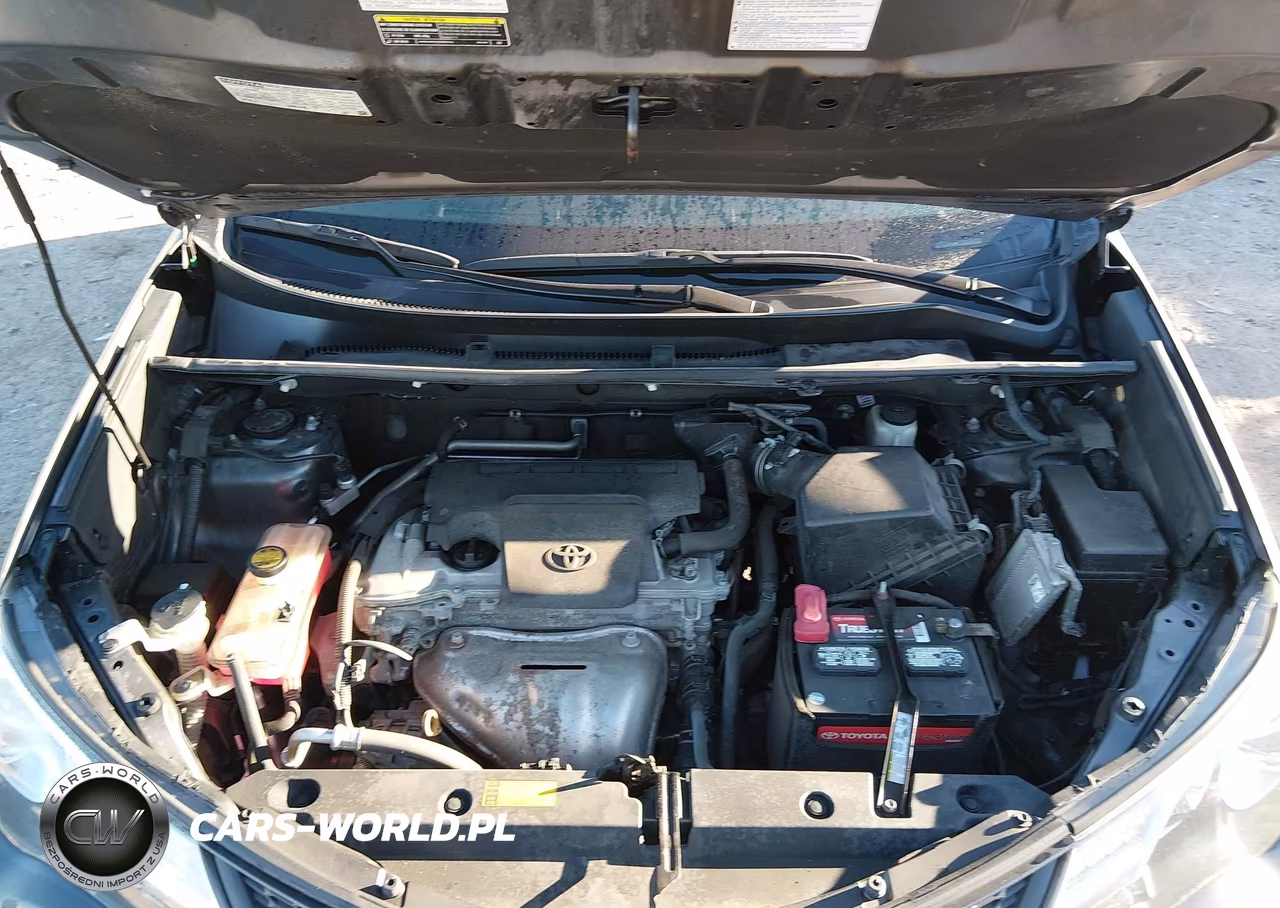 2015 Toyota Rav4 Xle VIN:2T3RFREV3FW319976 - 10