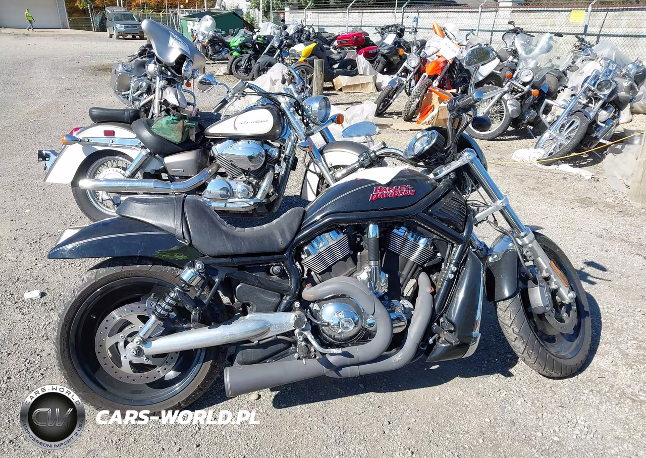 2006 Harley-Davidson Vrscd VIN:1HD1HDZ106K808649 - 12