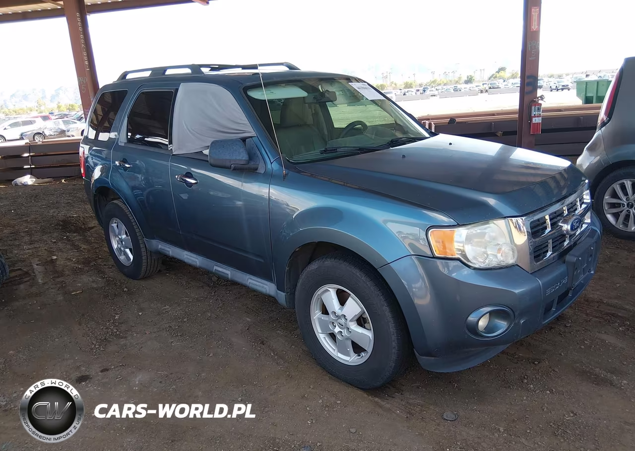 2010 Ford Escape Xlt