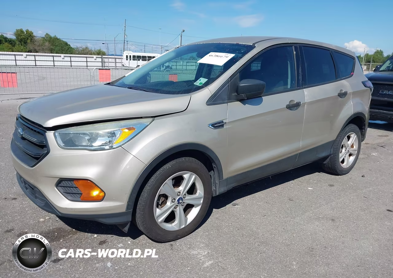2017 Ford Escape S VIN:1FMCU0F72HUC31231 - 2